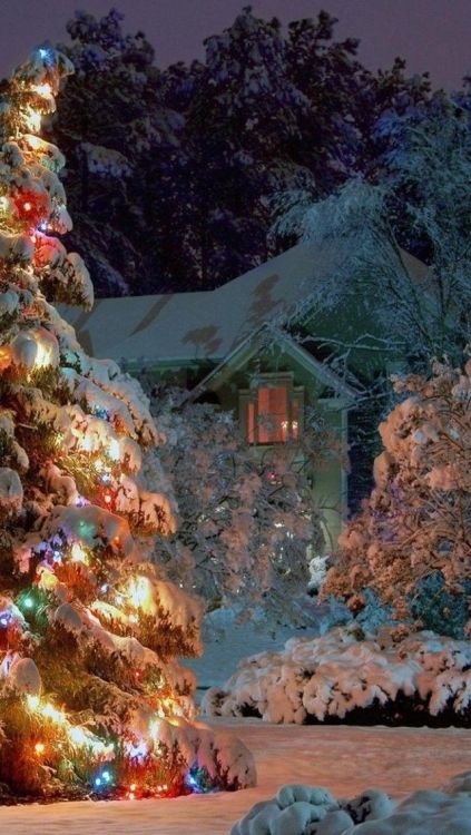 Really dreamy Christmas scenes