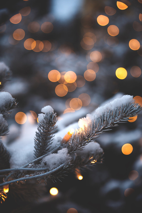 Dreamy Christmas Scenes