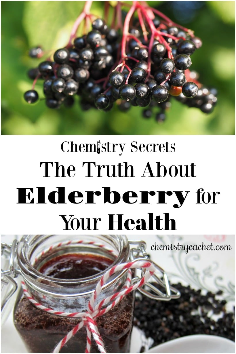 Find out the TRUTH about elderberry for your health. The facts may surprise you! 