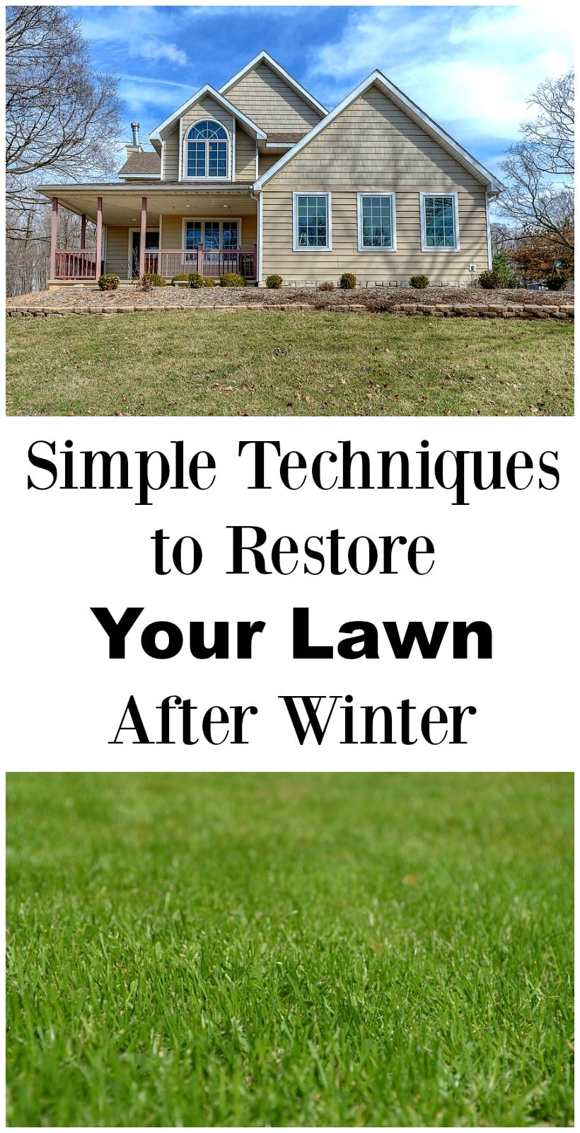 Winter lawn care, restoring lawn