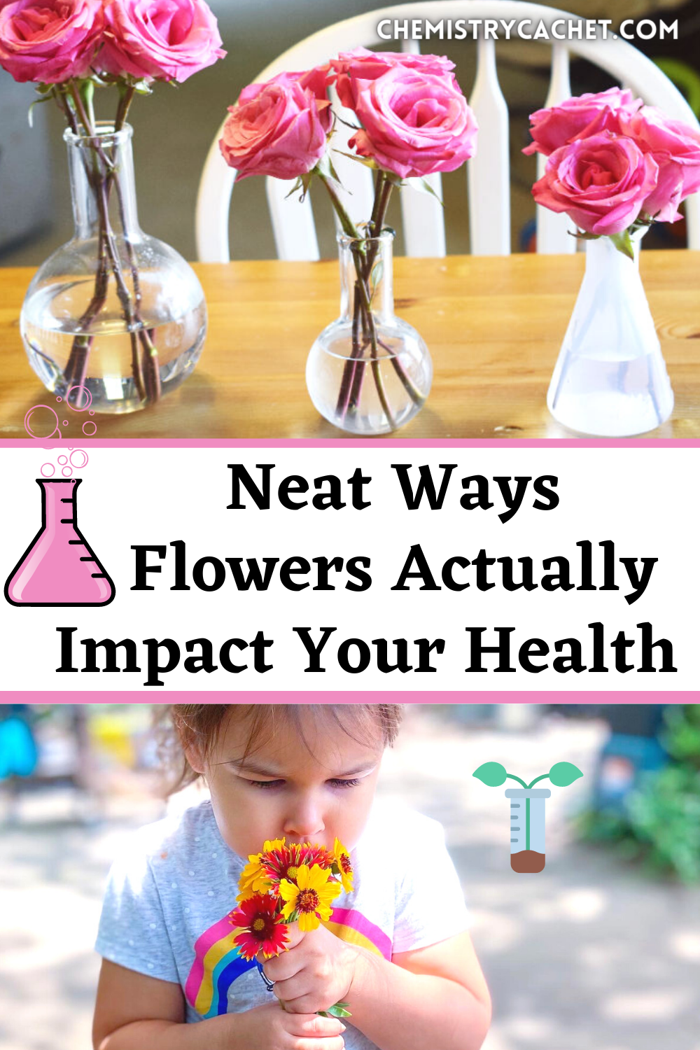 Neat Ways How Flowers Actually Impact Your Health