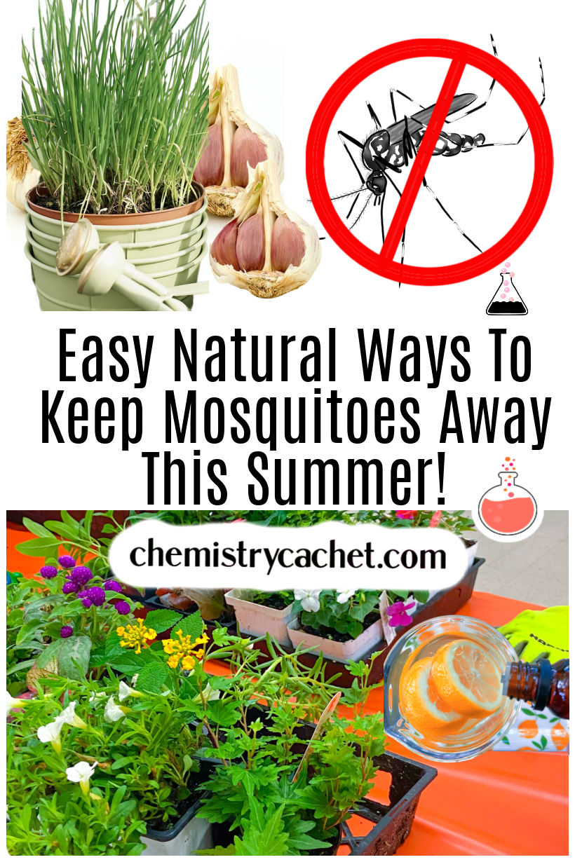 Natural Ways To Keep Mosquitoes Away This Summer