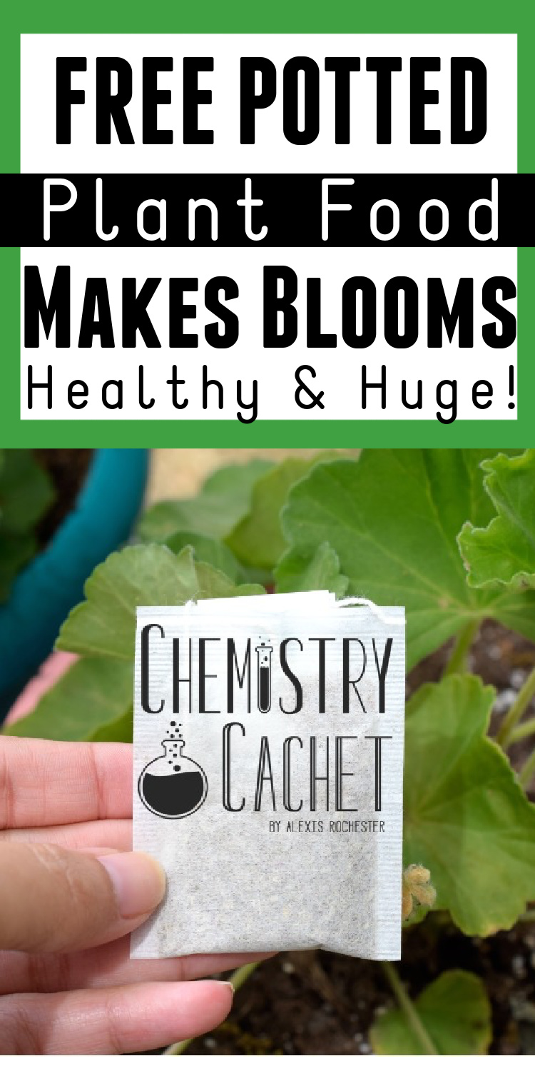 Free Potted Plant Food Recipe