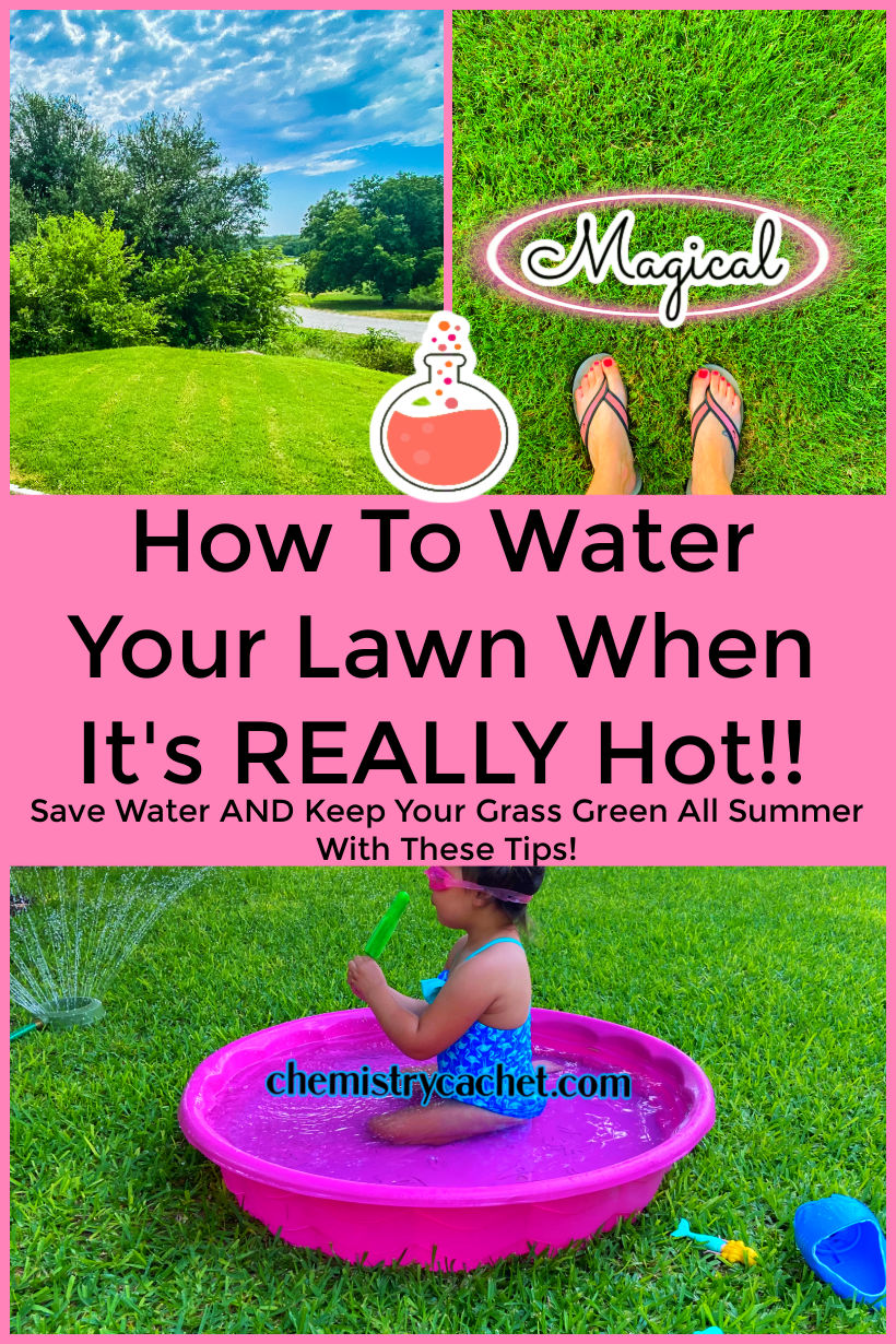 How To Water Your Lawn When It Is Really Hot Outside