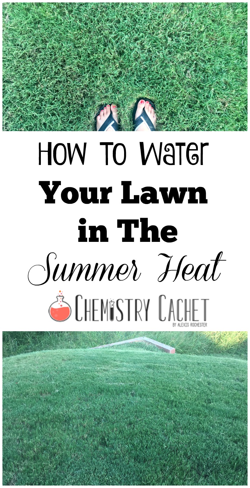 How To Water Your Lawn in The Summer Heat by Chemistry Cachet Easy lawn care to keep grass healthy all summer