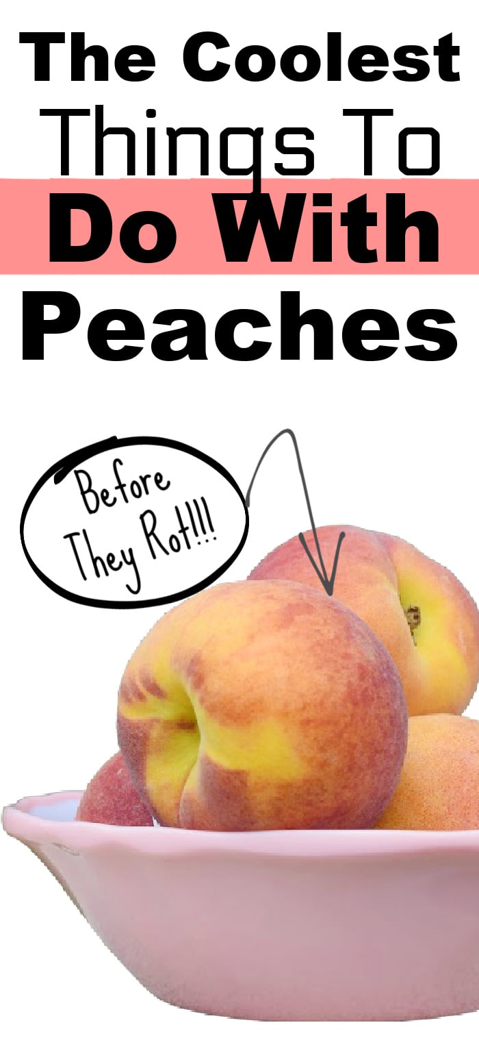 the coolest things to do with peaches before they rot