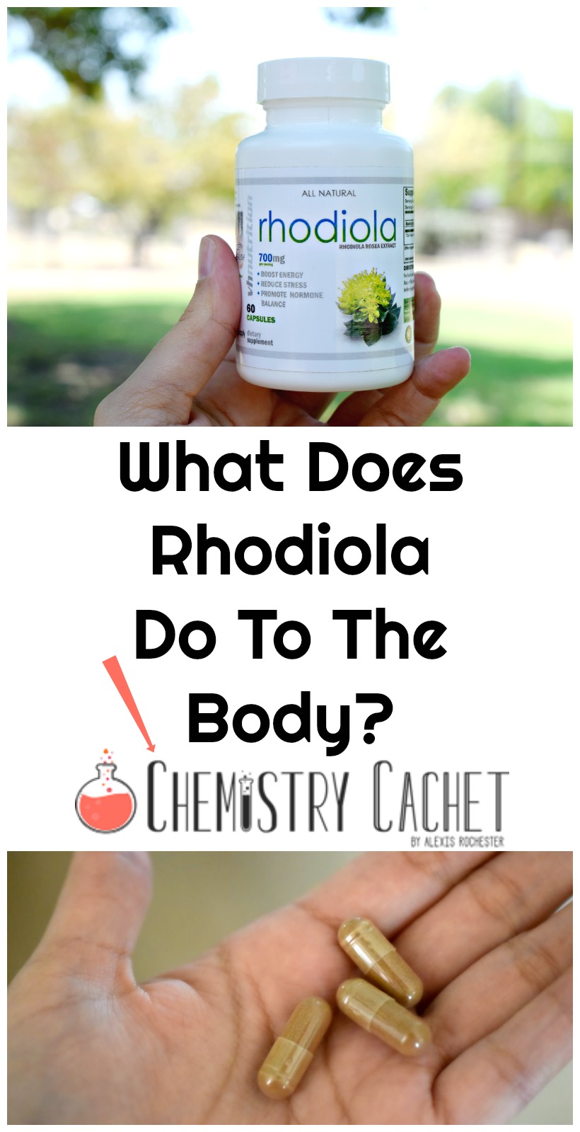 What Does Rhodiola Do To The Body Find out about this unique supplement on Chemistry Cachet
