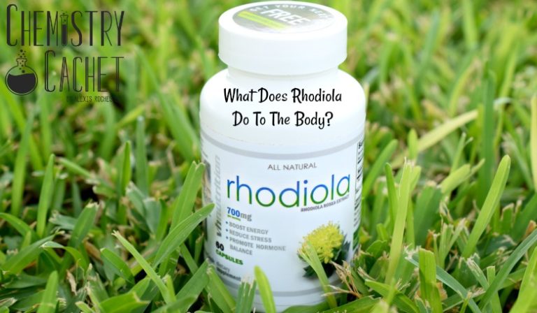 What Does Rhodiola Do To The Body The Answer on Chemistry Cachet