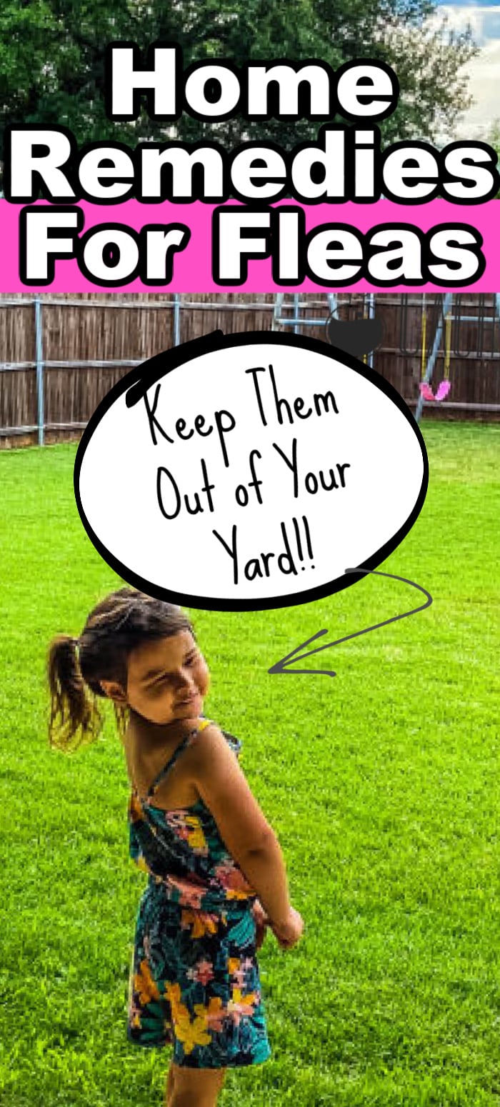 home remedies for fleas in your yard