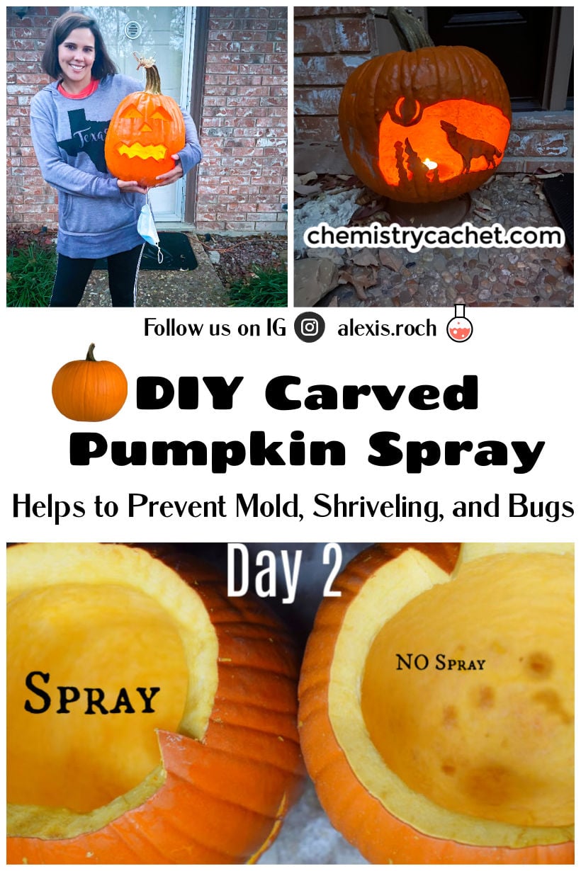 DIY Carved Pumpkin Spray From Chemistry Cachet