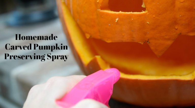 Homemade Carved Pumpkin Preserving Spray – No Bleach!