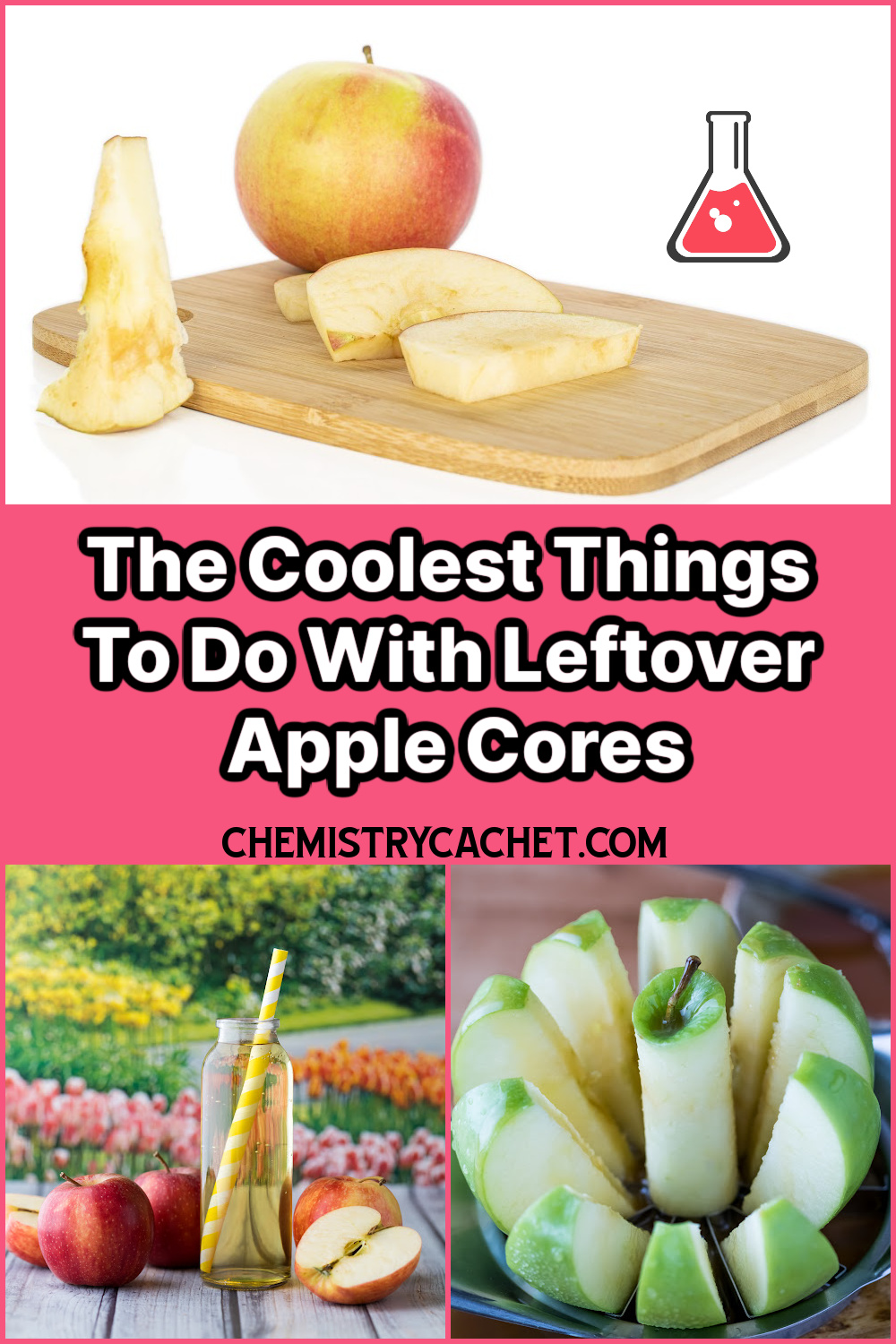  Things You Can Do With Leftover Apple Cores