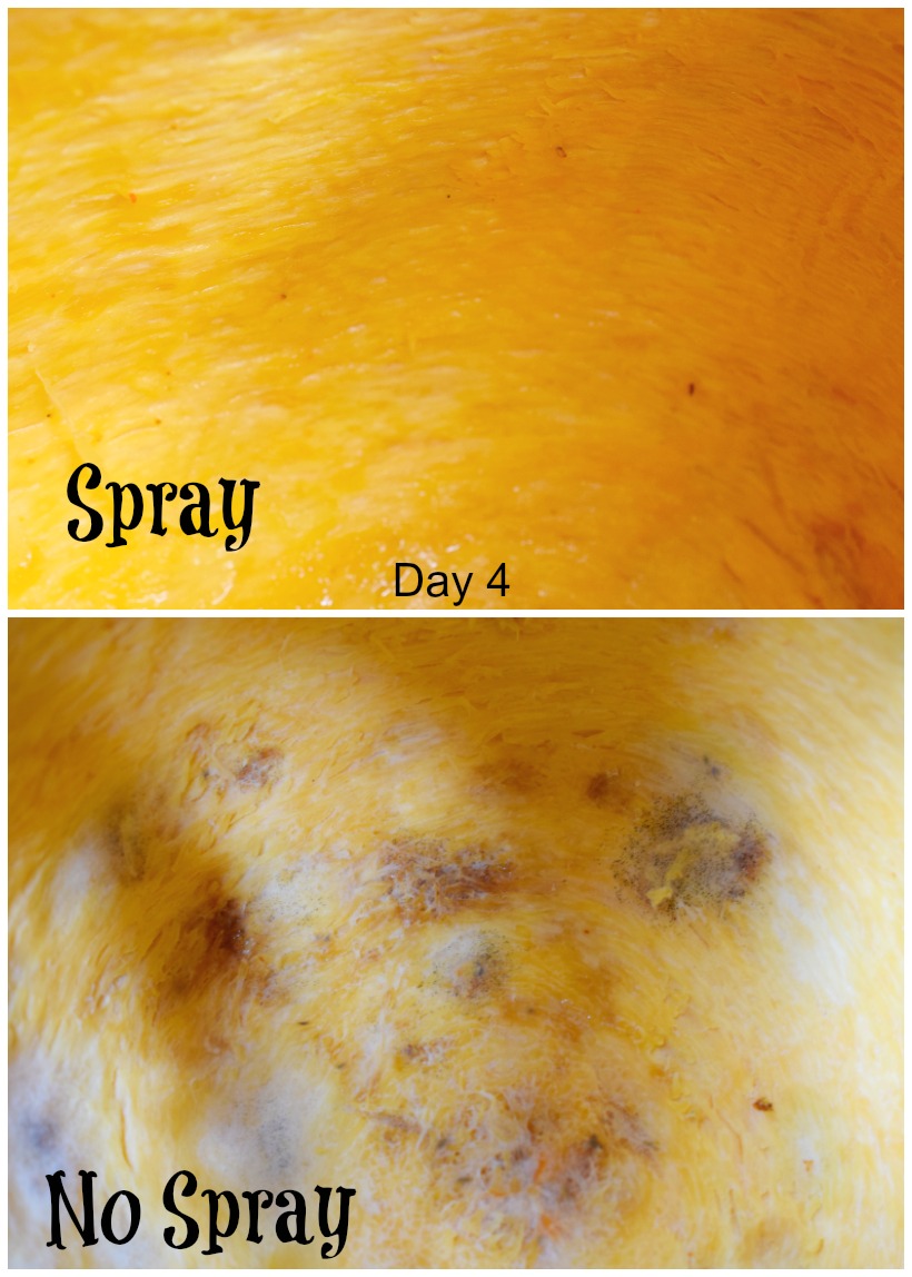 pumpkin spray, carved pumpkin spray