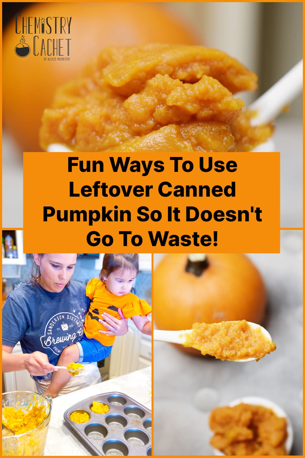 15+ Fun Ways To Use Leftover Canned Pumpkin