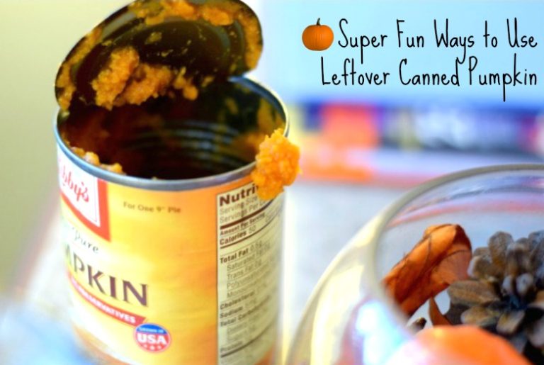Super Fun Ways to Use Leftover Canned Pumpkin