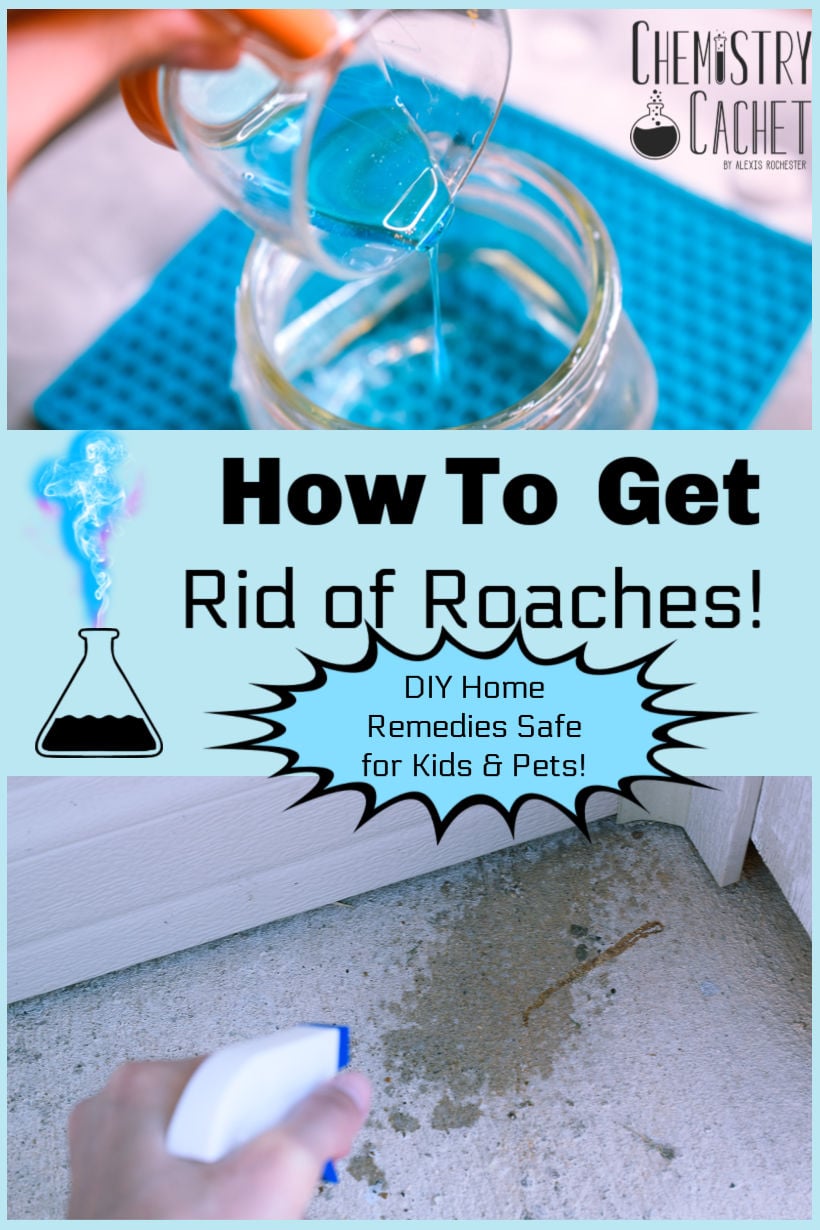 how to get rid of roaches