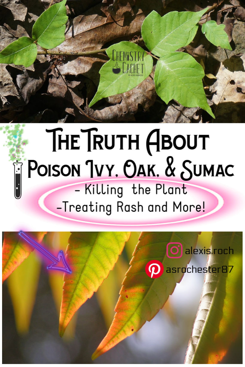 The Complete Guide To Dealing With Poison Ivy, Oak, And Sumac