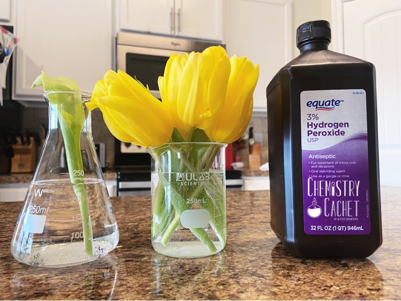 hydrogen peroxide cleaning hacks and uses like preventing mold in flowers