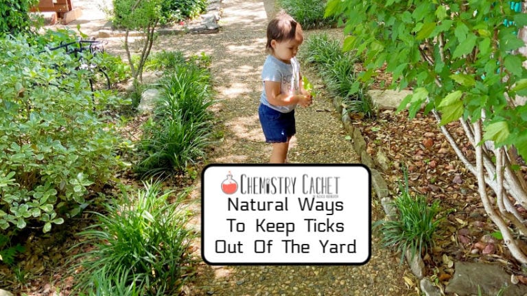 Natural Ways To Keep Ticks Out of Yard Chemistry Cachet
