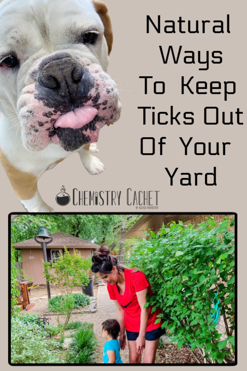 Natural Ways To Keep Ticks Out Of Yards on Chemistry Cachet