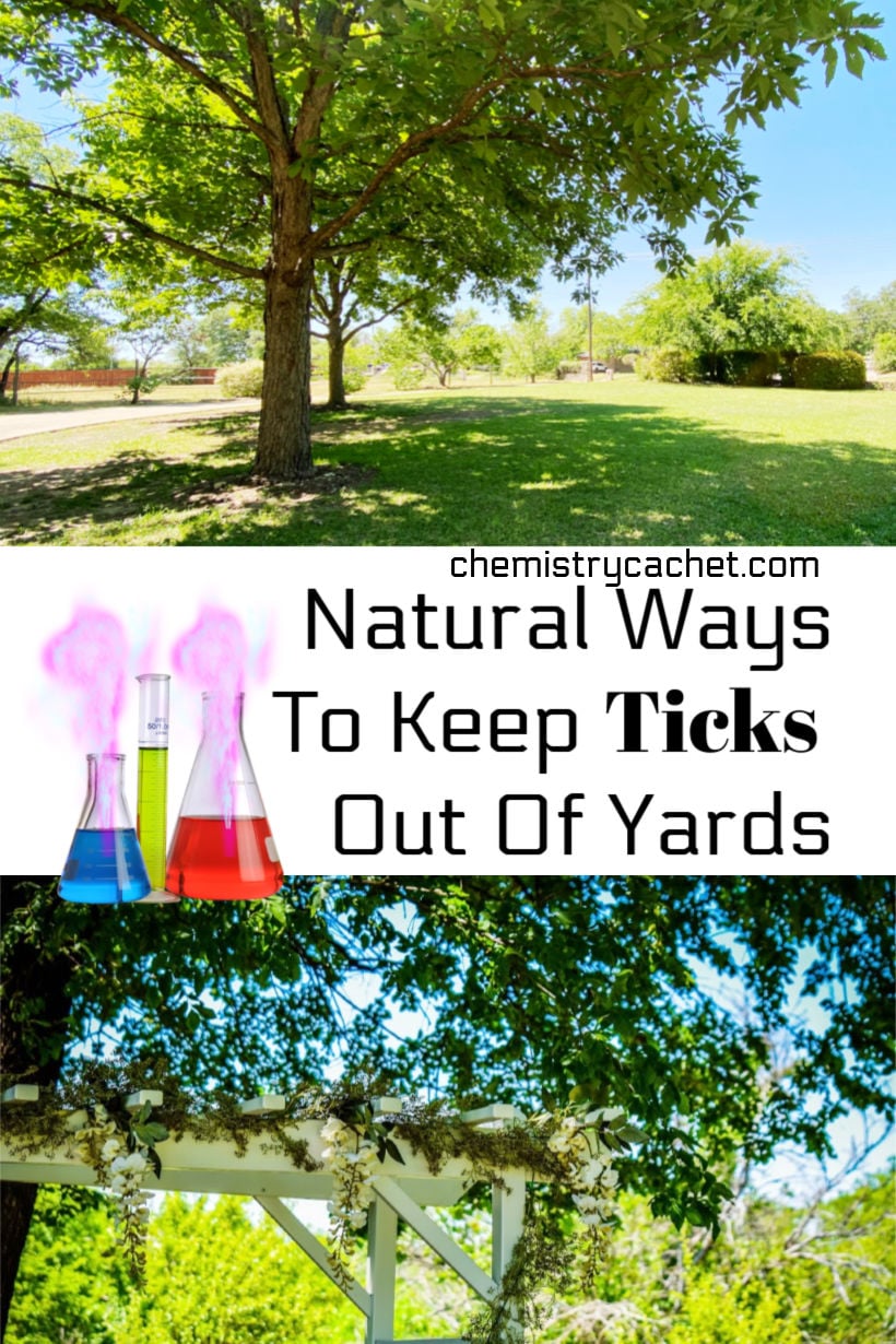 Natural Ways To Keep Ticks Out Of Yards on Chemistry Cachet