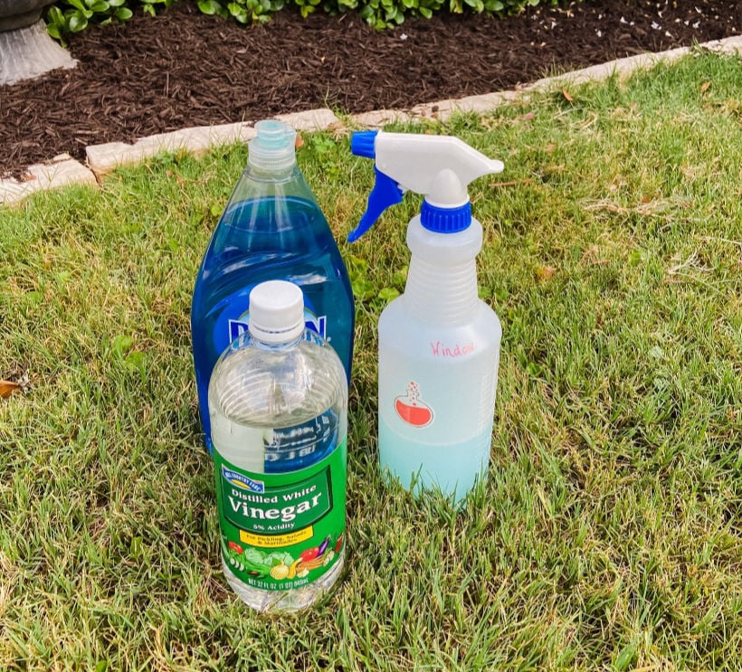 Homemade Outdoor Window Cleaner Chemistry Cachet