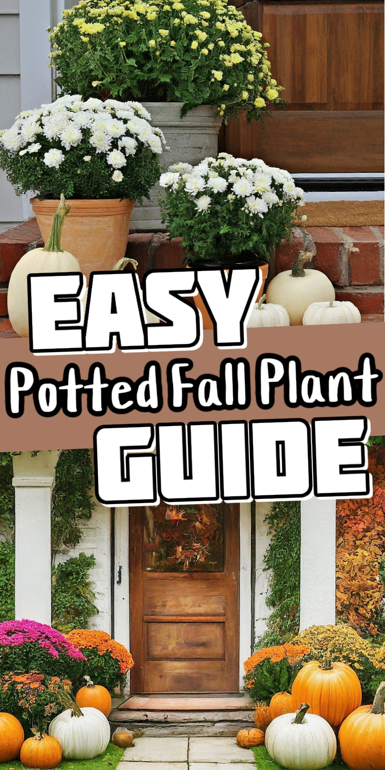 Easy Potted Fall Plant Guide