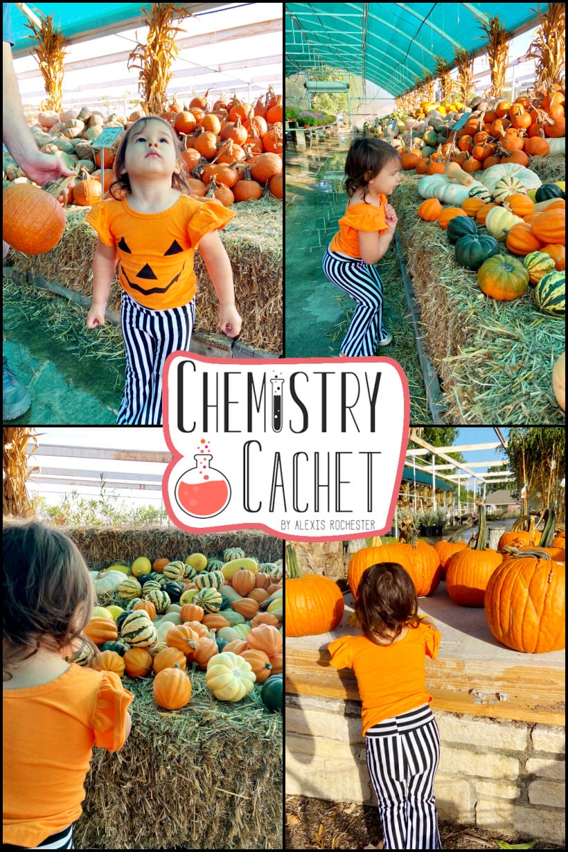 Enchanting Fall Scenes To Make You Feel Cozy & Dreamy