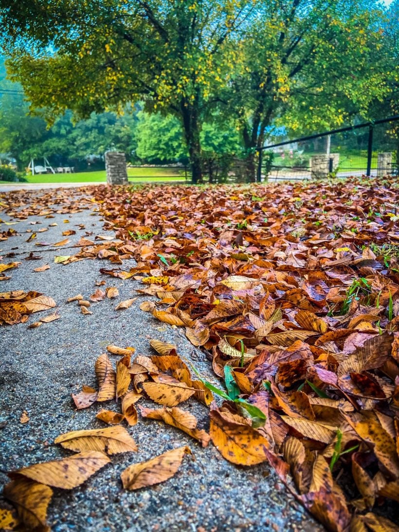 Enchanting Fall Scenes to Make You Feel Cozy & Dreamy