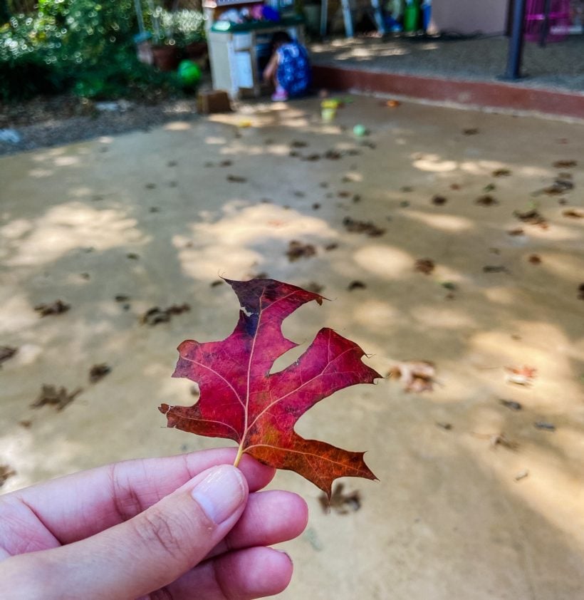 Enchanting Fall Scenes to Make You Feel Cozy & Dreamy