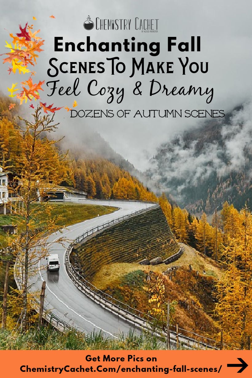 Enchanting Fall Scenes To Make You Feel Cozy & Dreamy