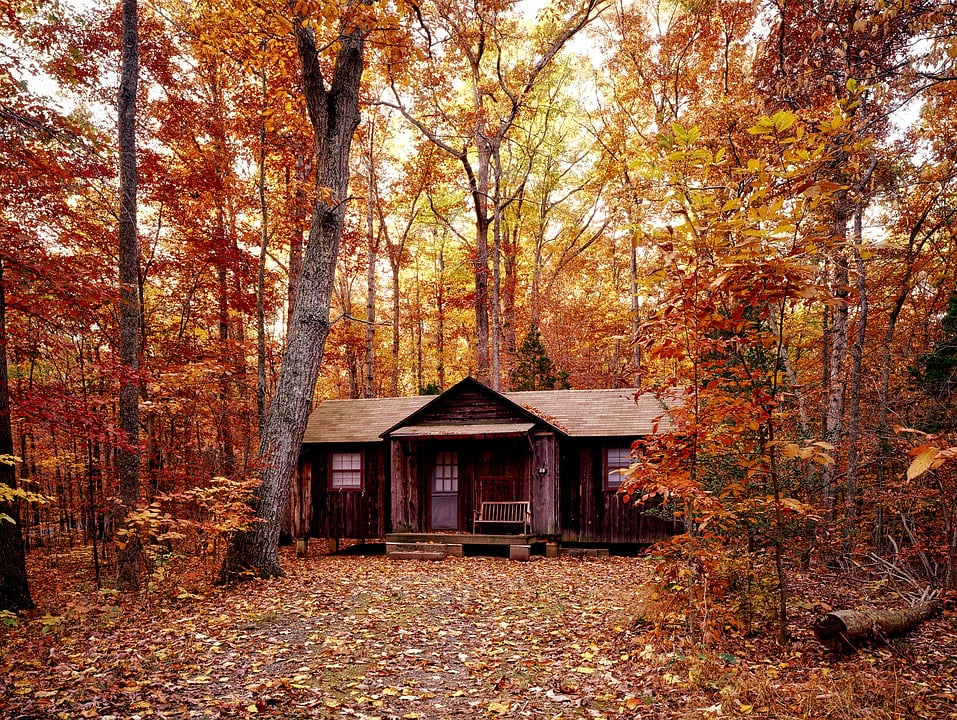 Enchanting Fall Scenes to Make You Feel Cozy & Dreamy