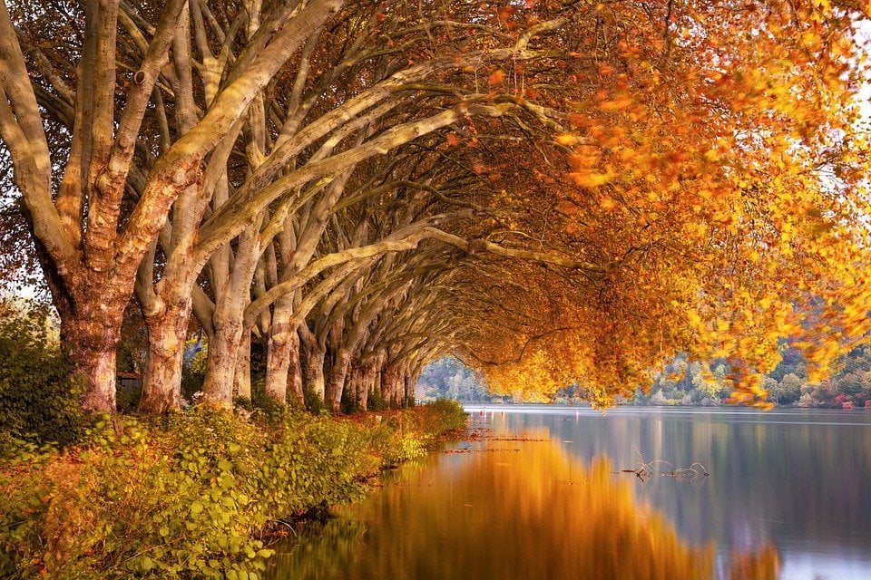 Enchanting Fall Scenes to Make You Feel Cozy & Dreamy