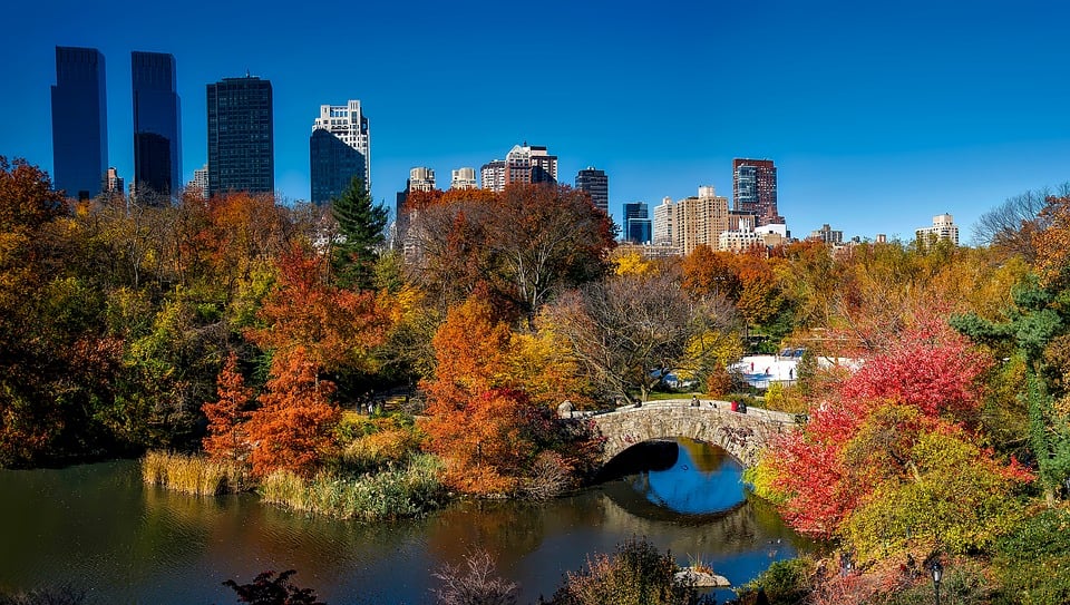 Enchanting Fall Scenes to Make You Feel Cozy & Dreamy
