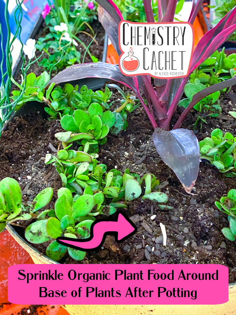 How To Pot Plants Like An Expert With 9 Simple Steps