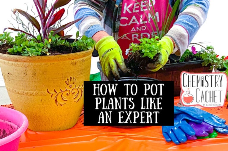 How To Pot Plants Like An Expert