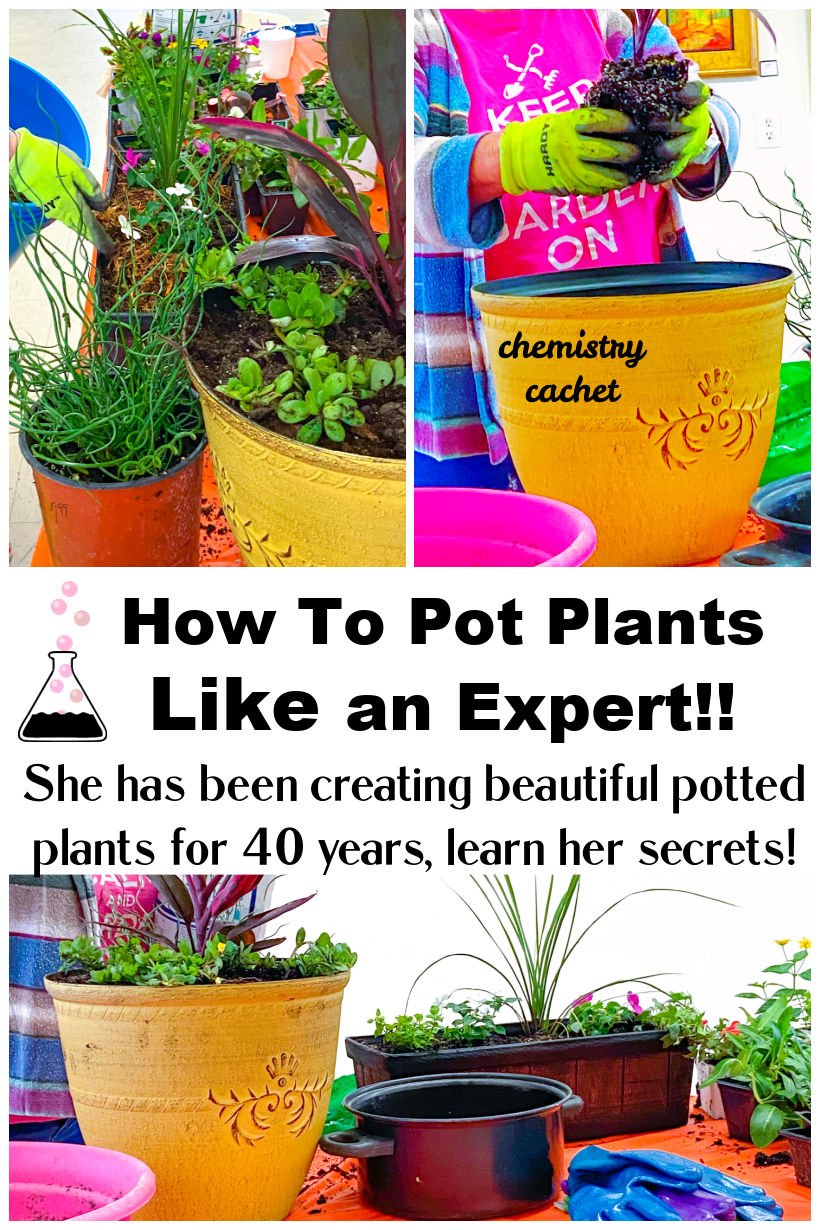 How To Pot Plants Like An Expert