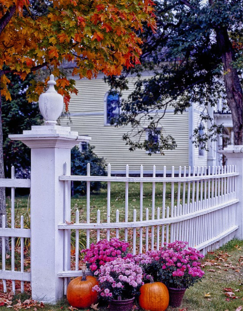 Cozy Fall Vibes That Will Make You So Happy