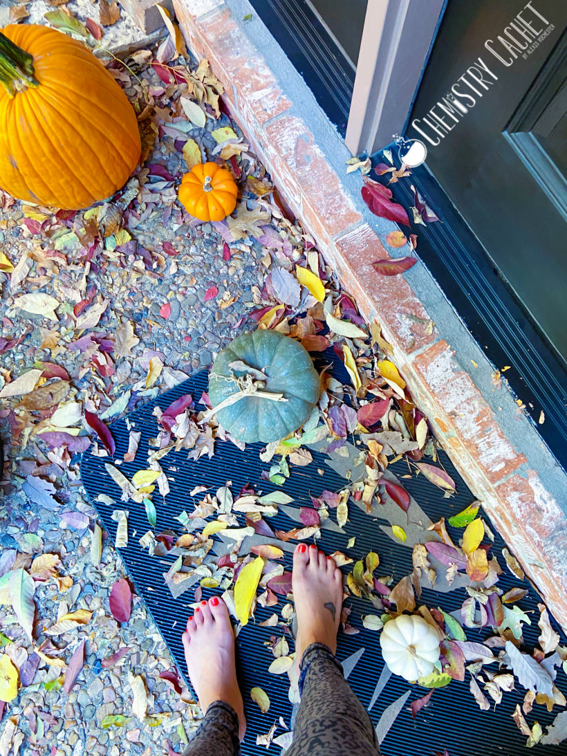 Cozy Fall Vibes and Scenes 