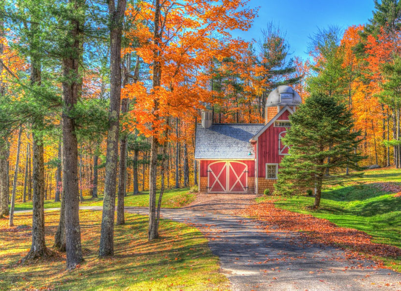 Cozy Fall Vibes and Scenes