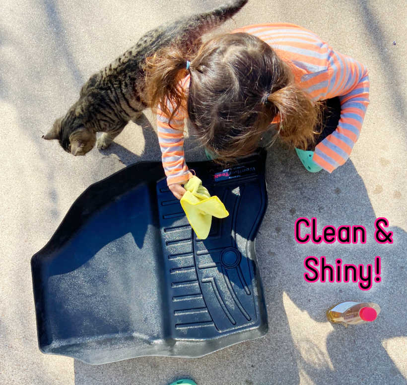 shine plastic surfaces