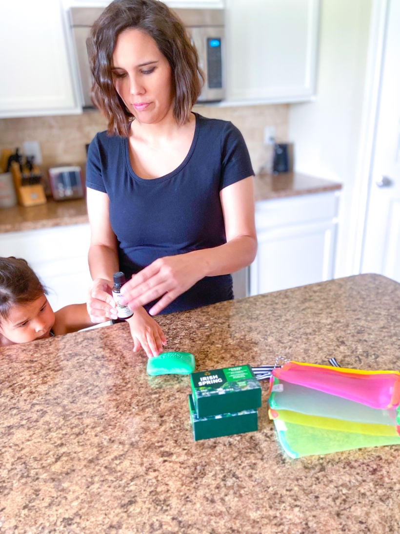 DIY Fly Repellent For Porches