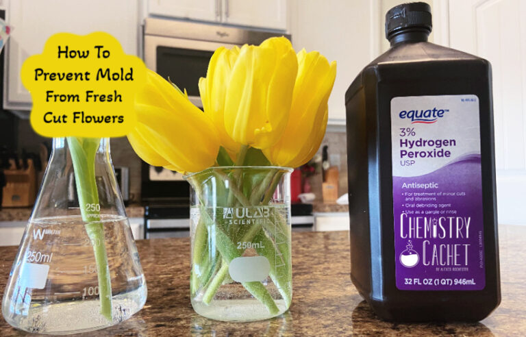 How to prevent mold from fresh cut flowers on chemistry cachet