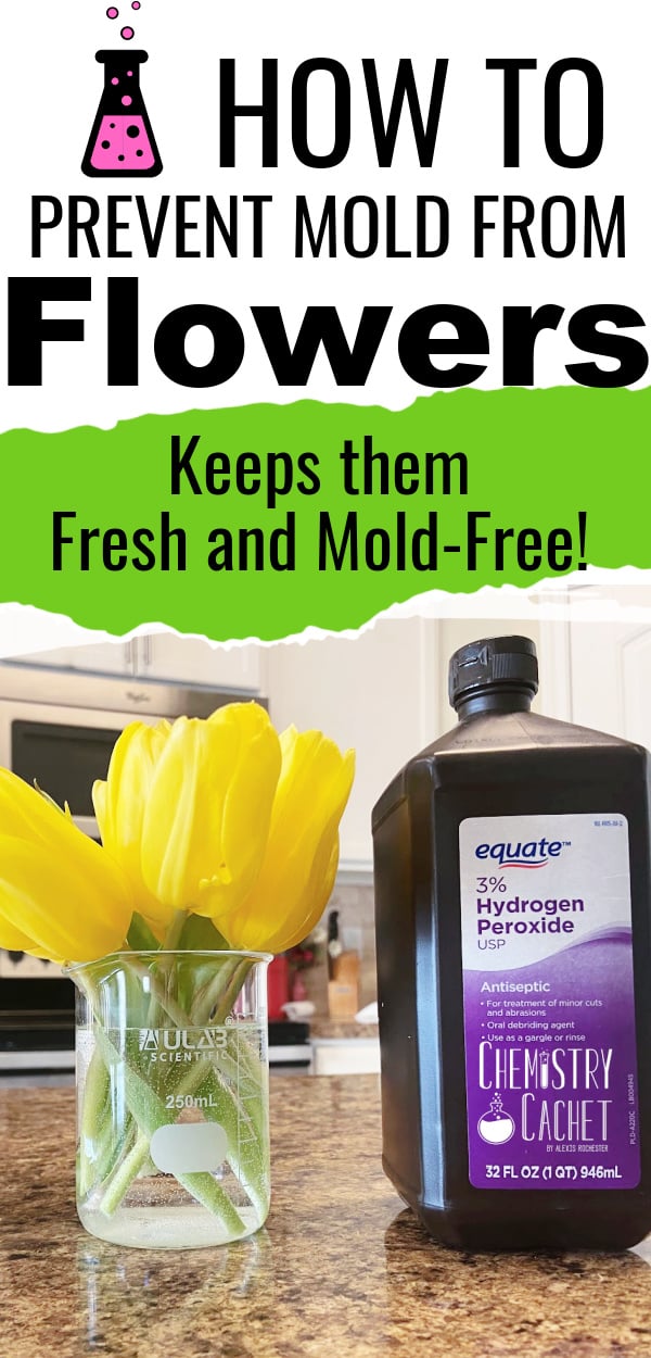 How To Keep Mold From Fresh Cut Flowers