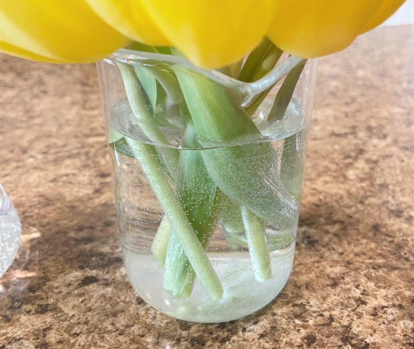 hydrogen peroxide for fresh cut flowers