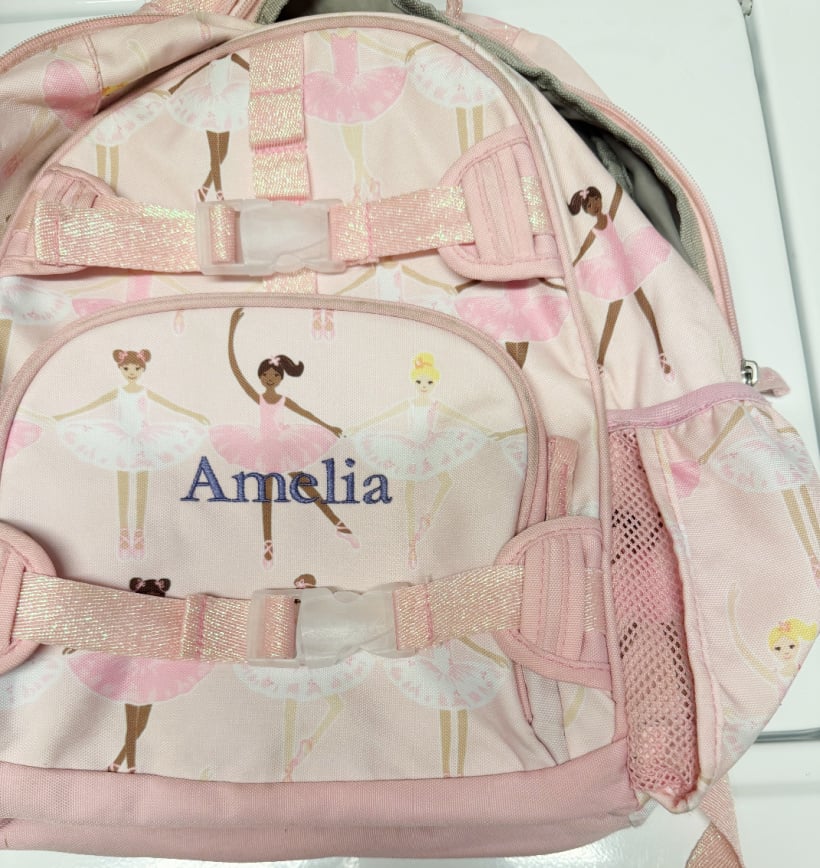 backpack cleaning