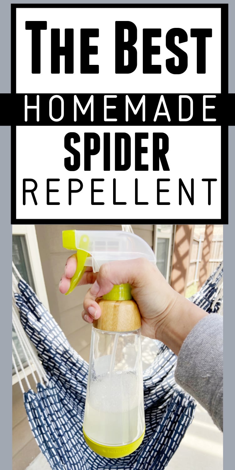 The Best Homemade Spider Repellent Spray That Works