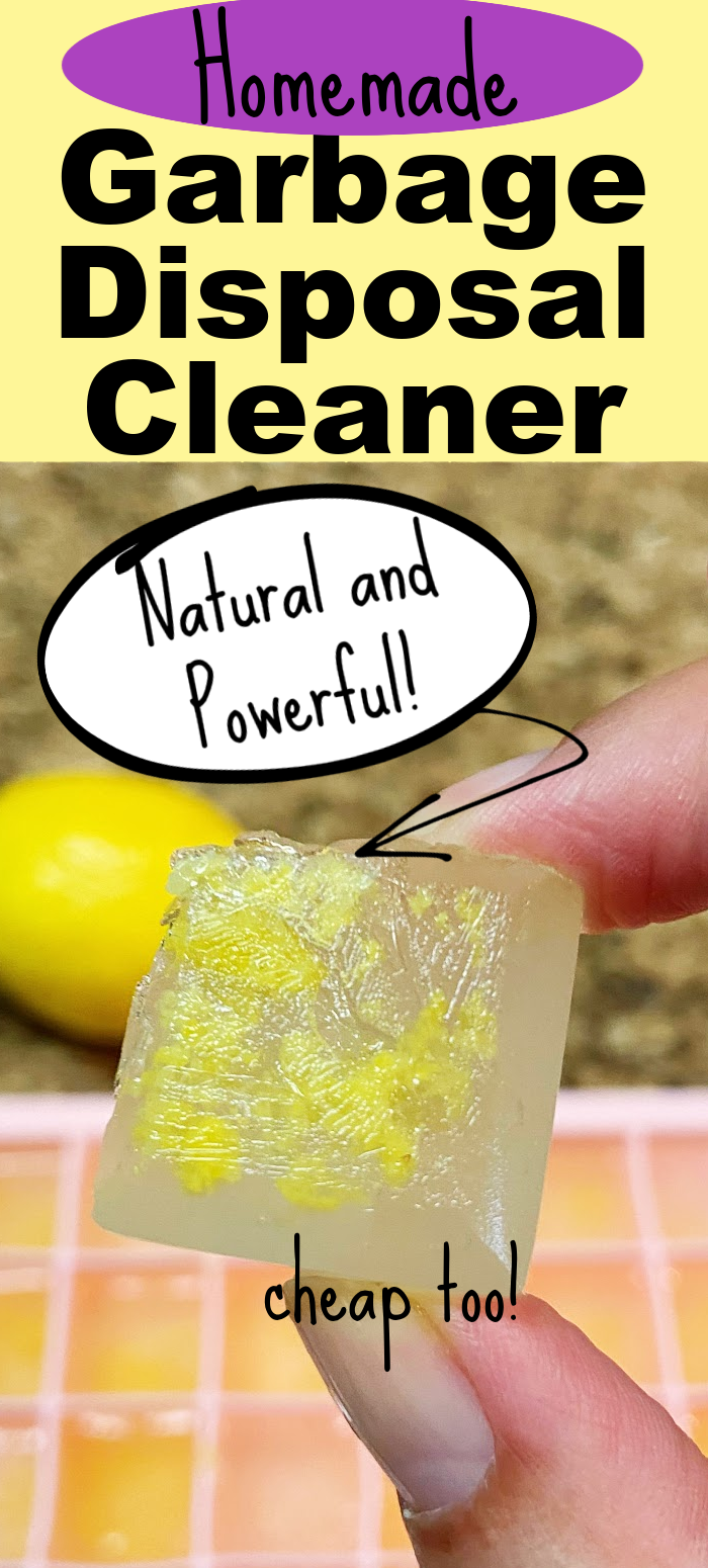 Easy Natural Homemade Garbage Cleaner