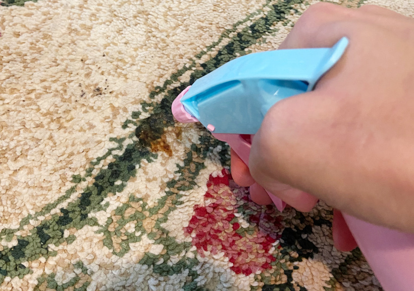 applying homemade stain remover for rugs