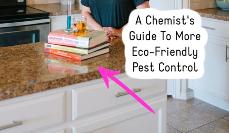 A Chemist’s Guide To Eco-Friendly Pest Control